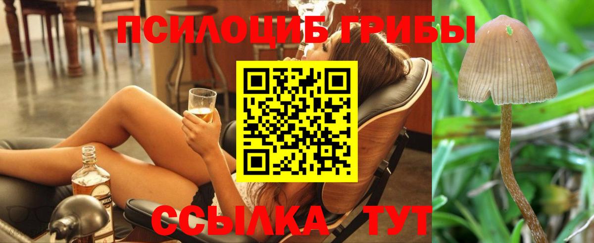 Псилоцибиновые грибы прущие грибы Кстово